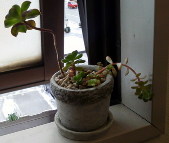 サ・・荻褓.jpg