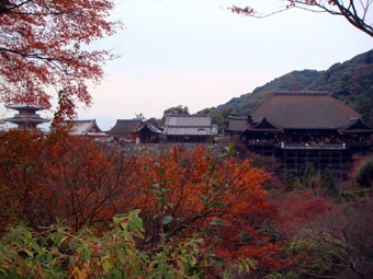 京都秋.JPG