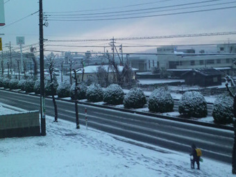 初雪.jpg