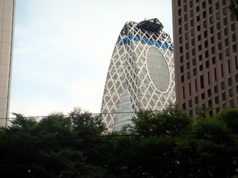 大きなマユ.JPG