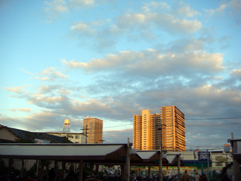 大阪の陽.jpg