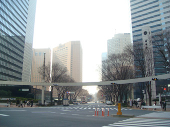 春が空から降ってきた.jpg