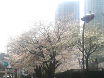東京霞ヶ関.jpg