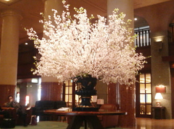 桜.JPG