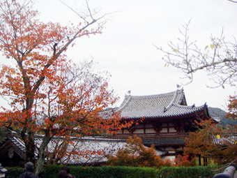 秋の平等院.jpg