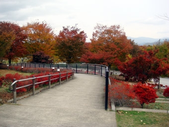 紅葉1.JPG