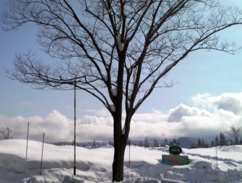 雪の国.jpg