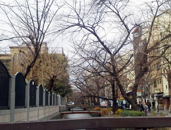 1.8冬の木屋町.JPG