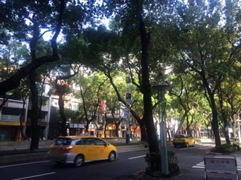 10.10台湾1.JPG