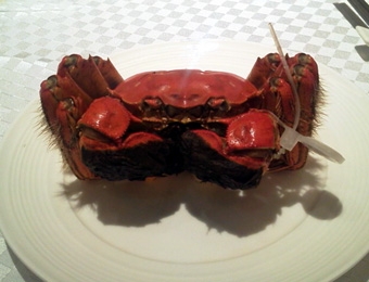 10.25上海カニ君.JPG