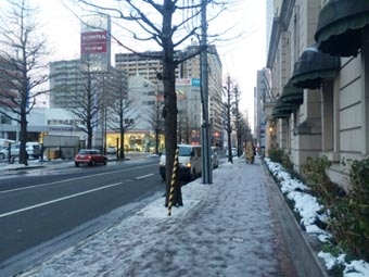 12.1ツルツル.JPG