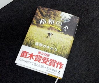 2.20犬.JPG
