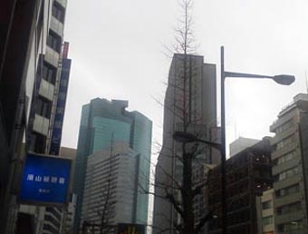 2.25東京も寒い (1).JPG