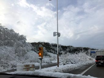 3.10雪.JPG