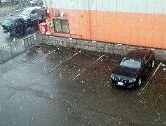 3.13最後の雪.JPG