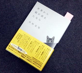 3.16レタスとキャベツ.JPG