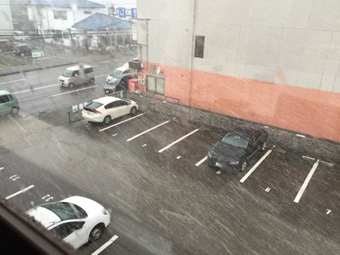3.23　木枯らし.jpg