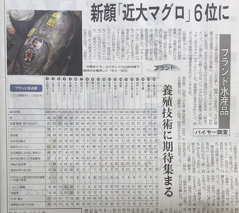 4.6-8.jpg