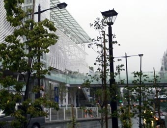 6.14雨.JPG