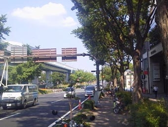 7.11矢場.JPG
