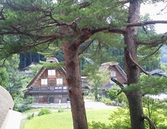 8.23世界遺産.JPG