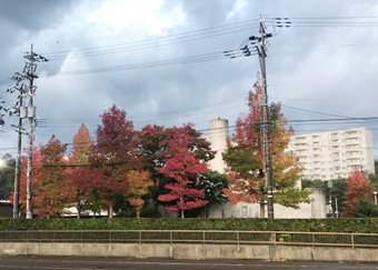 R2-10-28-8.jpg