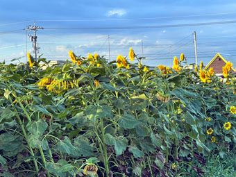 R4.08-09-3.jpg